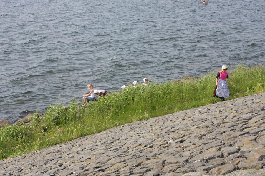 IMG 1248