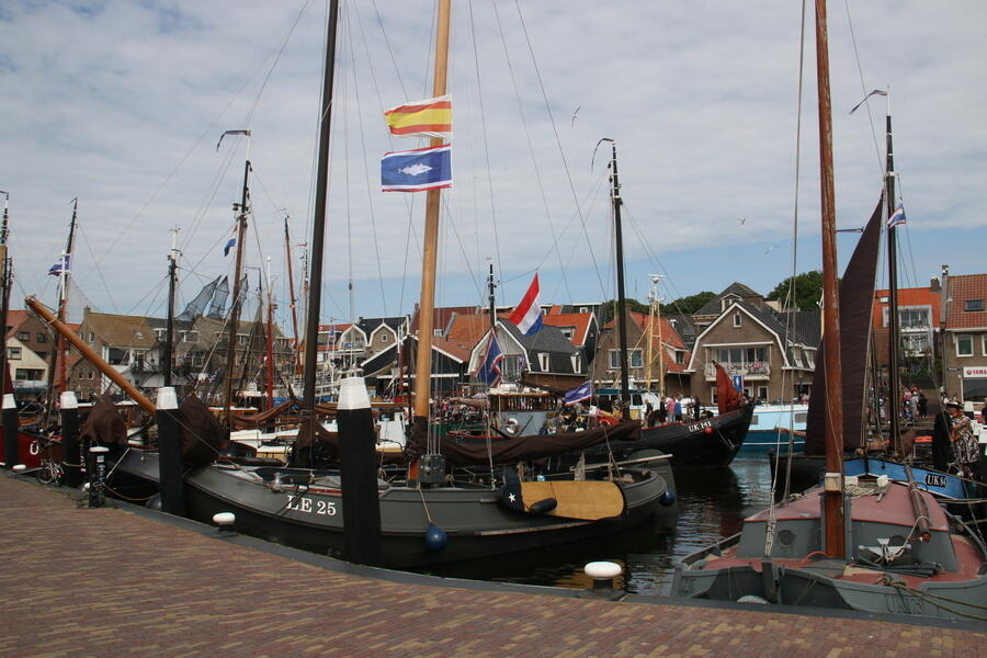 IMG 0719