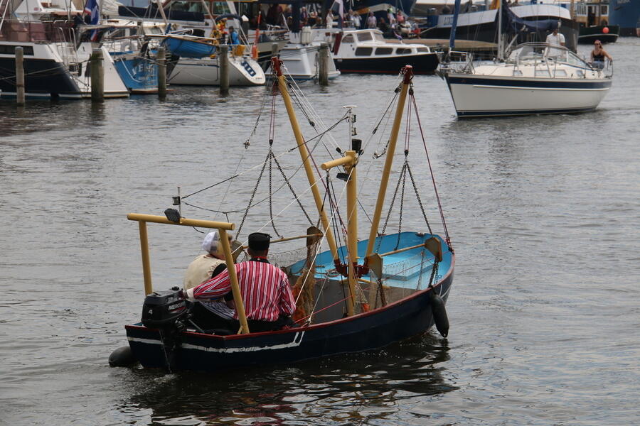 IMG 0782