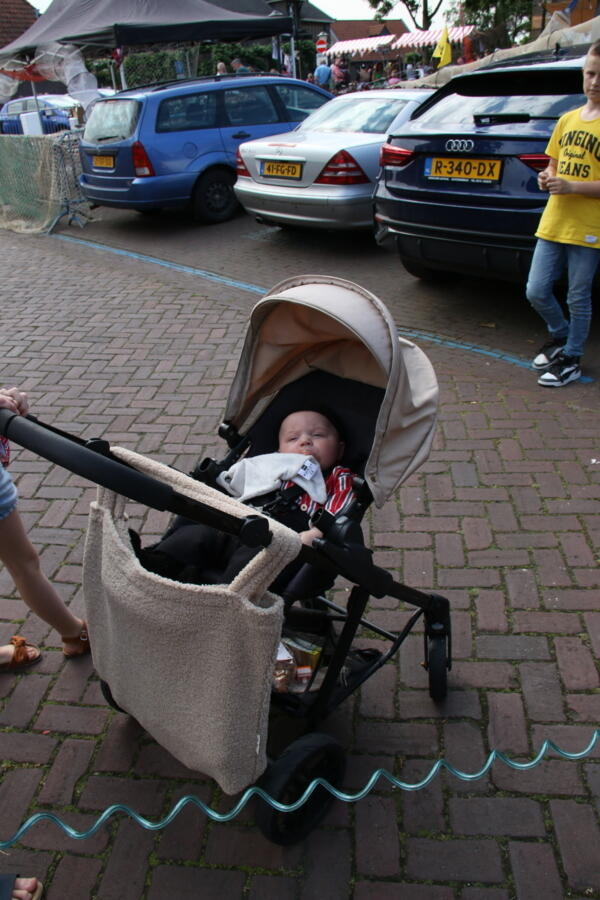 IMG 4662