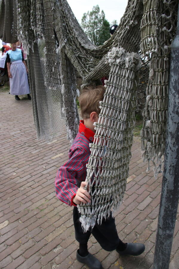 IMG 4705