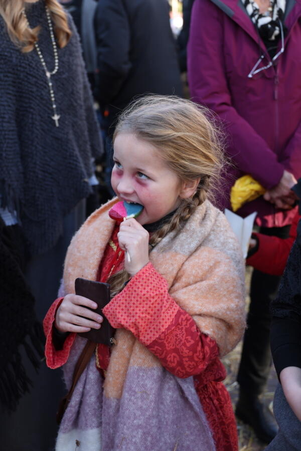 IMG 4511