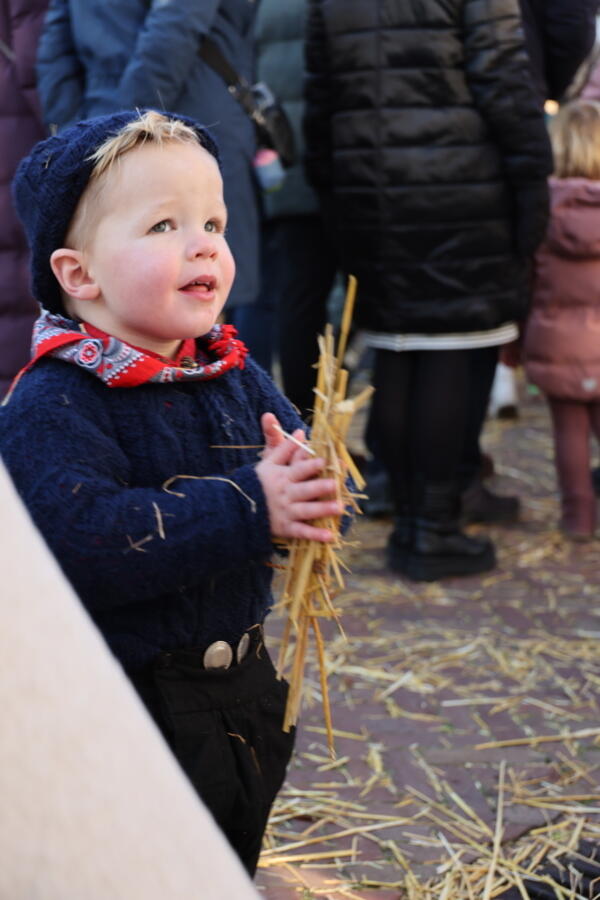 IMG 4517