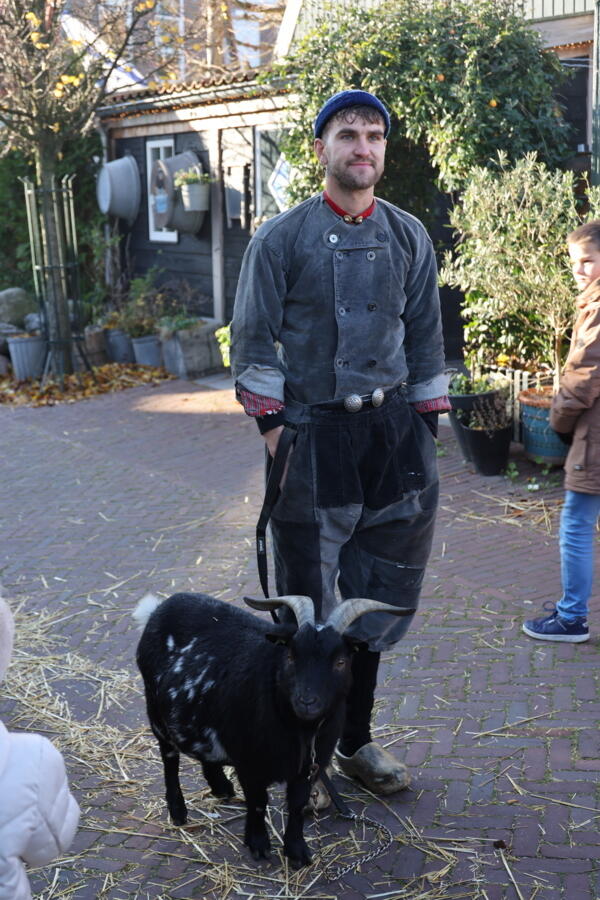 IMG 4559