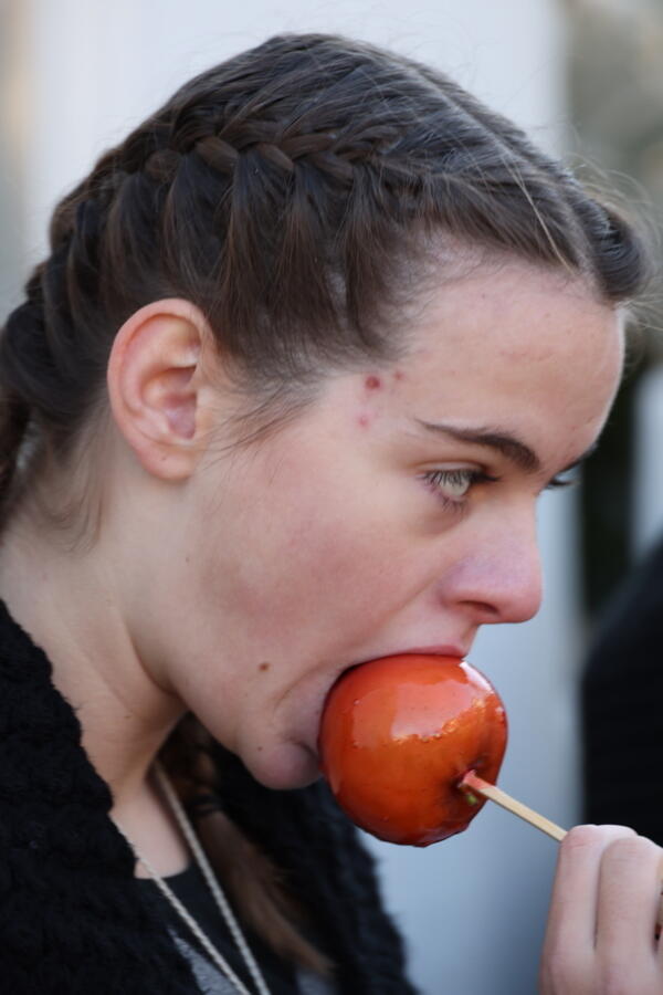 IMG 4560