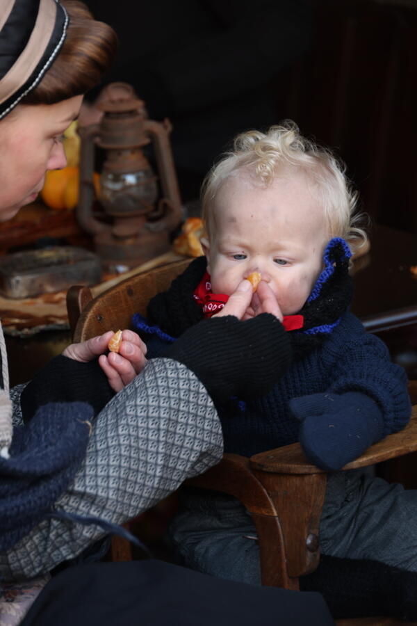 IMG 4564