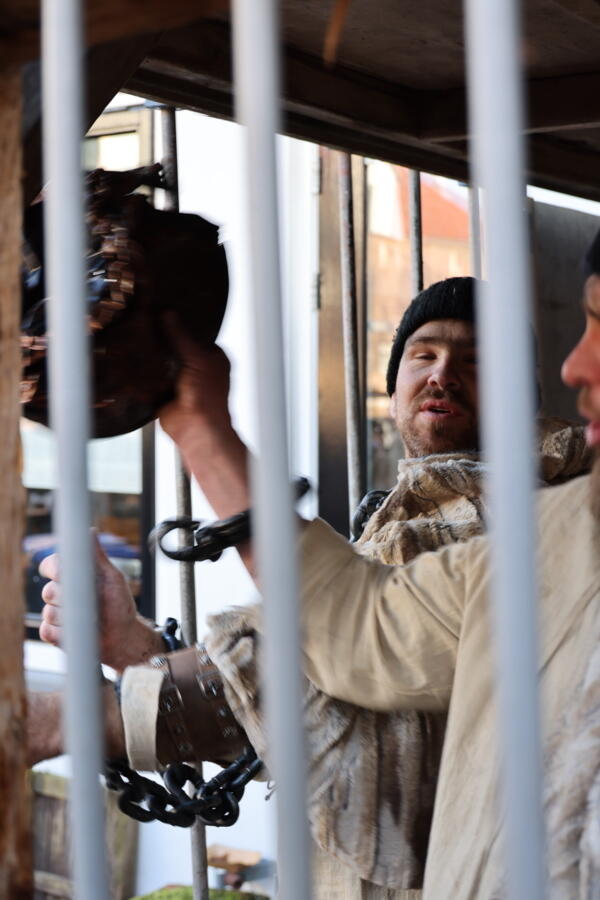 IMG 4586