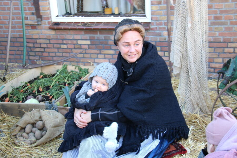 IMG 6137