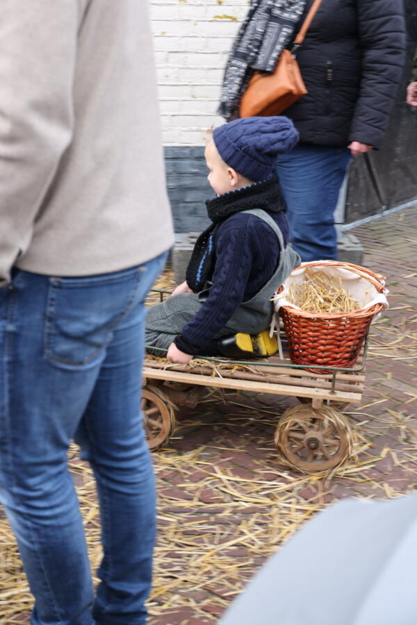 IMG 9481