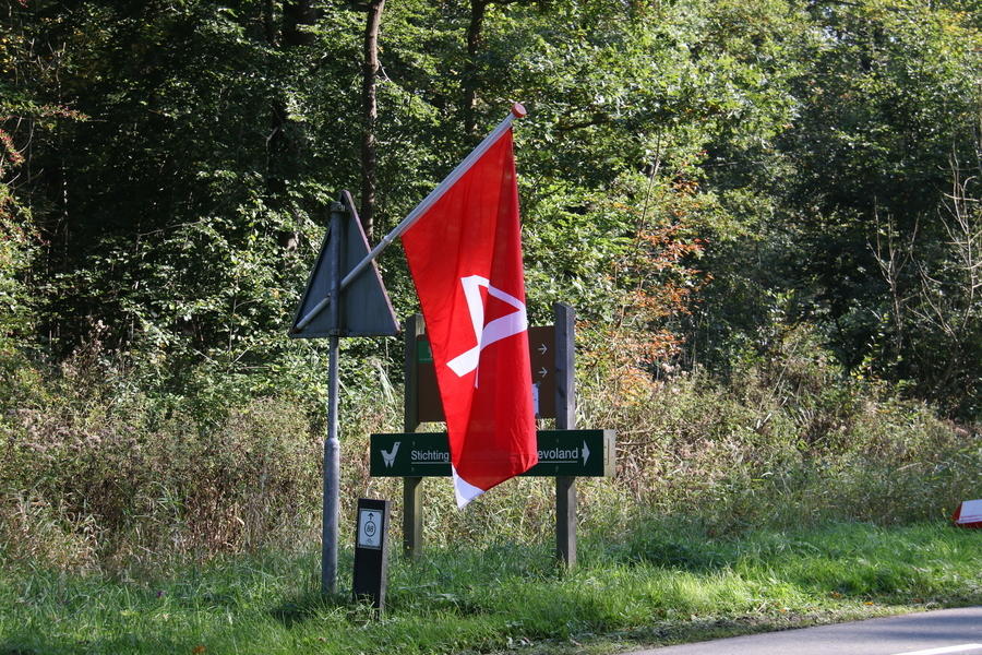 IMG 5666