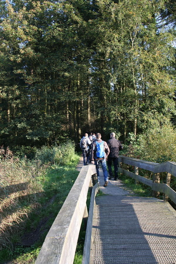 IMG 5715