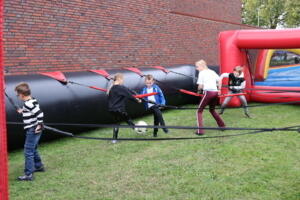 IMG 8223