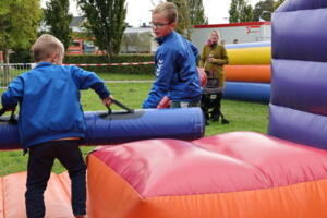 IMG 8241