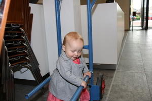IMG 0942