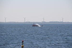 IMG 7391