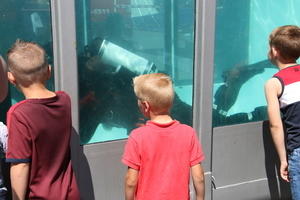 IMG 7468