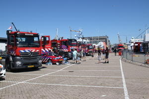 IMG 7481