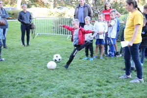 IMG 4582