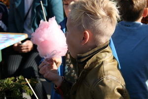 IMG 4641