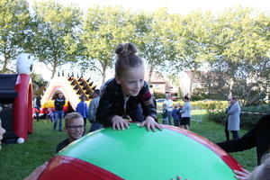 IMG 4694