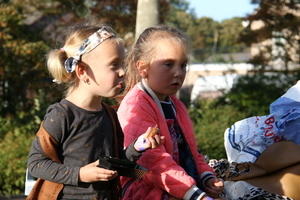 IMG 4723