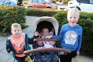 IMG 4782