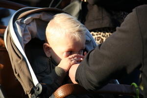 IMG 4785