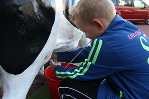 IMG 7784