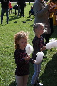 IMG 7808