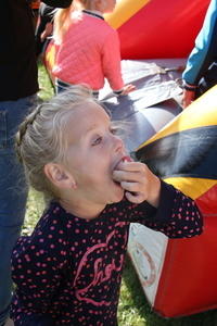 IMG 7809