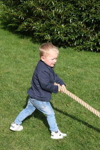 IMG 7878