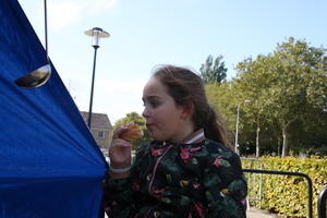 IMG 7887