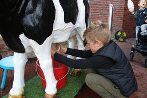 IMG 7892