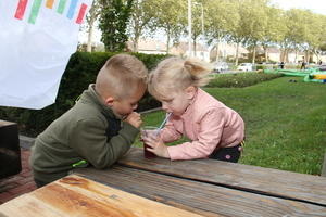 IMG 7909