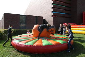 IMG 7962
