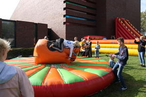 IMG 7964