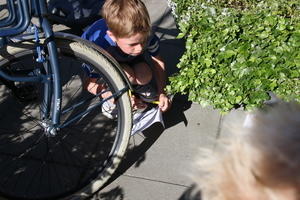 IMG 0529