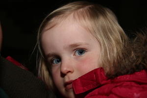 IMG 4335