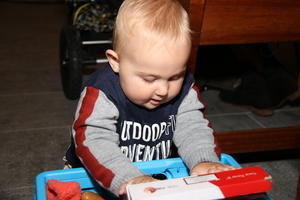IMG 5560