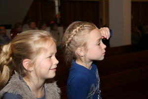 IMG 7071