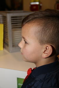IMG 0060