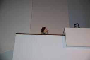 IMG 3640
