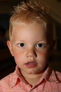 IMG 4165