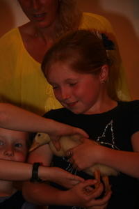 IMG 4222