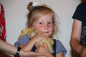 IMG 4225