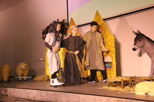 IMG 8729