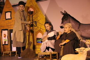 IMG 8731