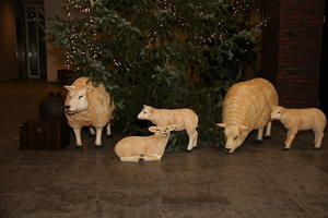 IMG 8759