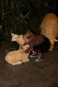 IMG 8763