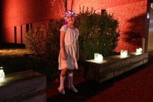 IMG 9073